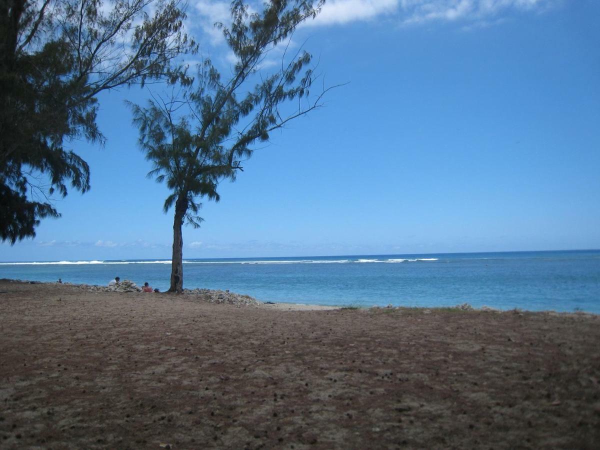 Appartamento Baliste Jardin De Corail Saint-Gilles-les Bains Esterno foto